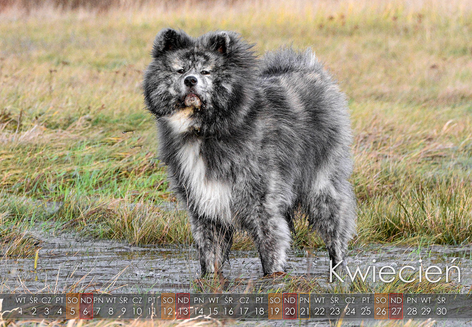 04 Kwiecien2025 copy