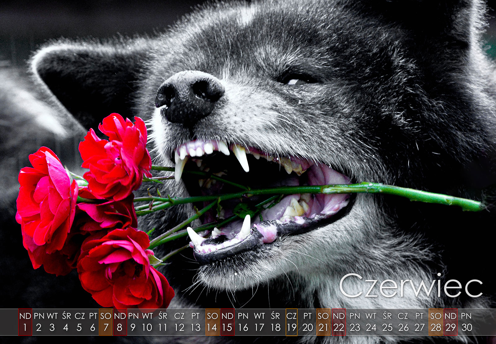 06 Czerwiec2025  copy