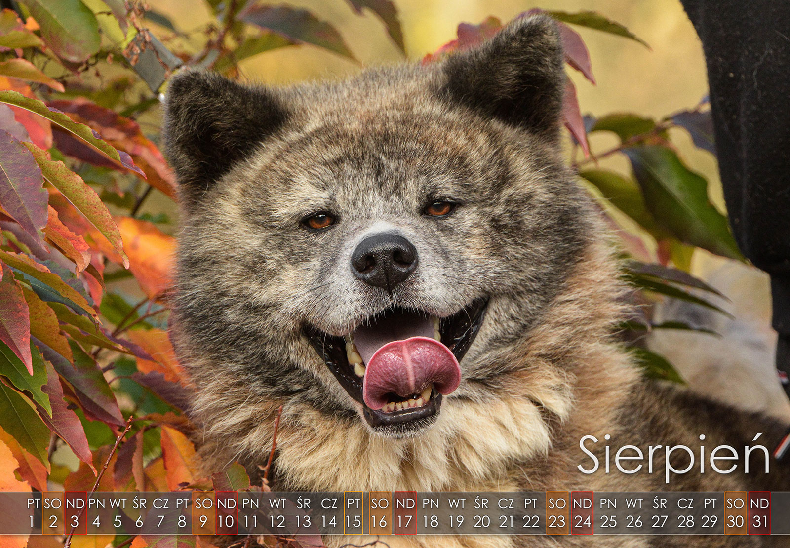 08 Sierpien2025 copy