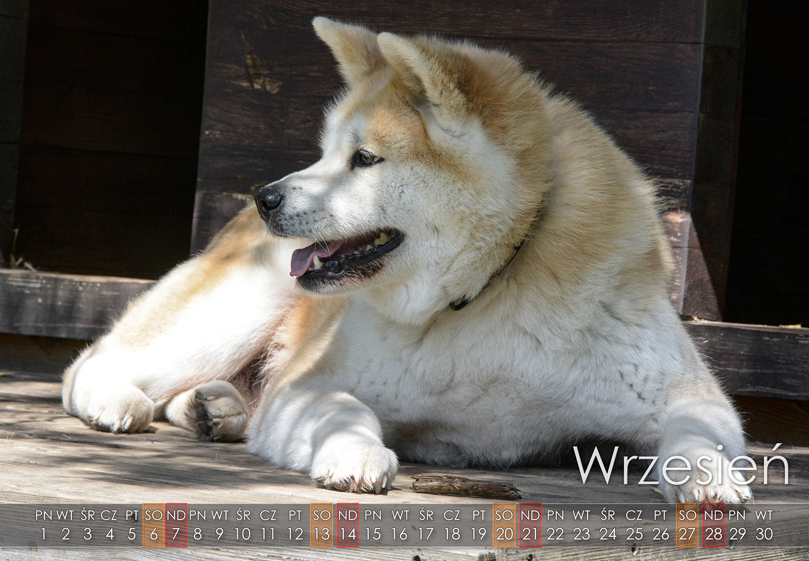 09 Wrzesien2025 copy