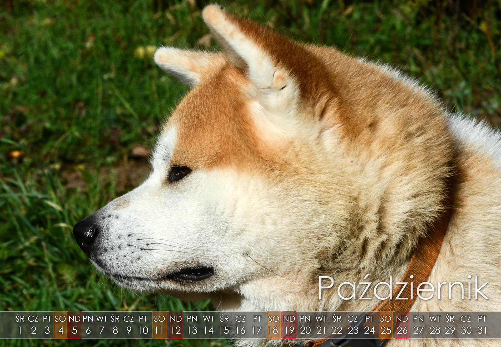 10 Pazdziernik2025 copy