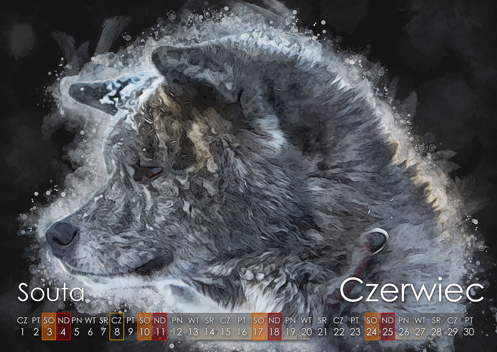 06 Czerwiec2023 copy