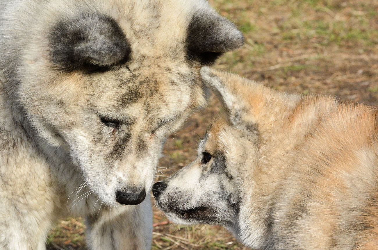 Jasna i Pogodna & Mi