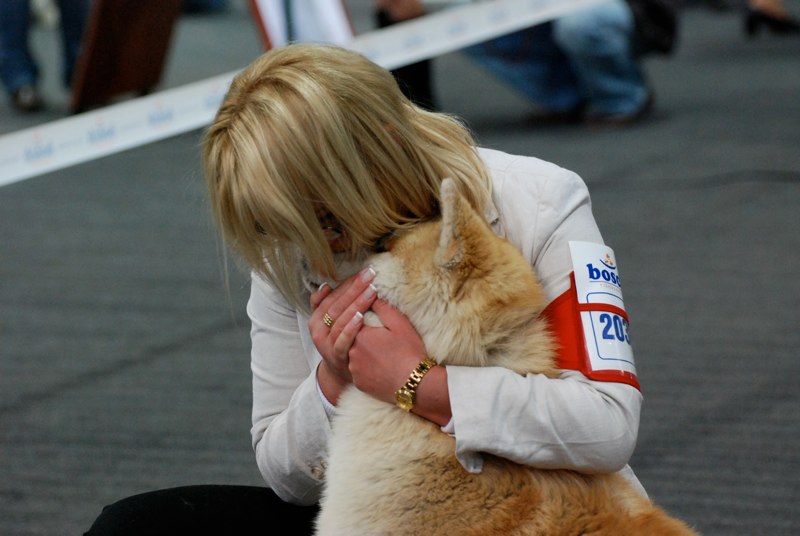 MWPR Katowice (CACIB)