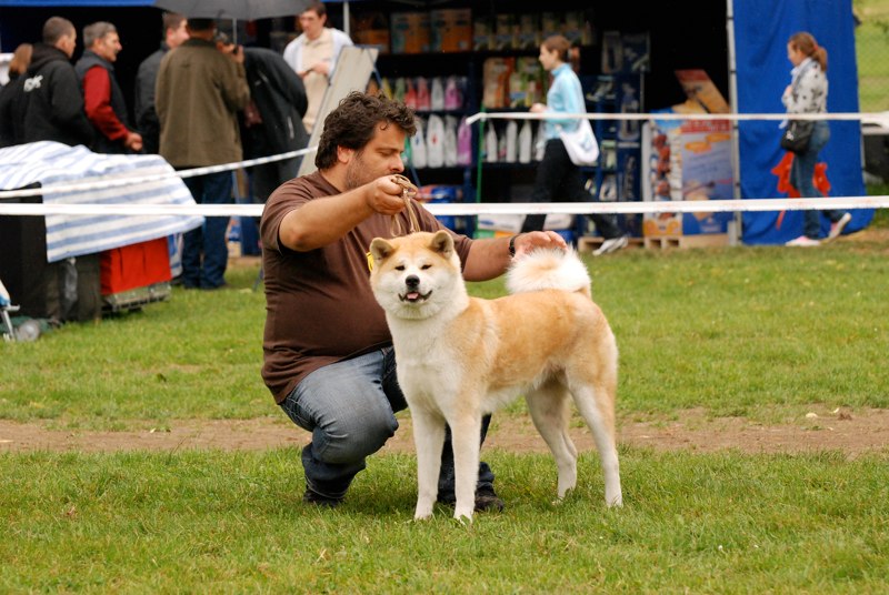 KWPR Walbrzych (CAC)