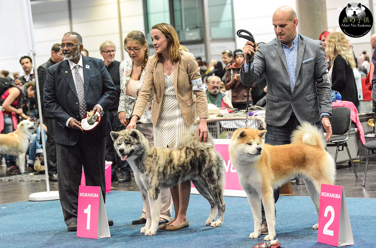 World Dog Show Leipzig 2017