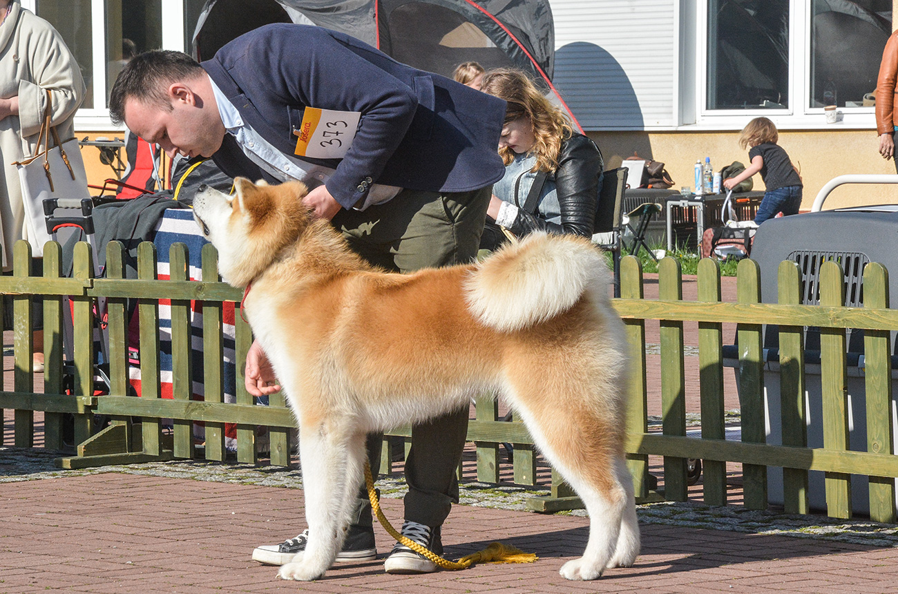 TAIKO GO Sara Hana Kensha