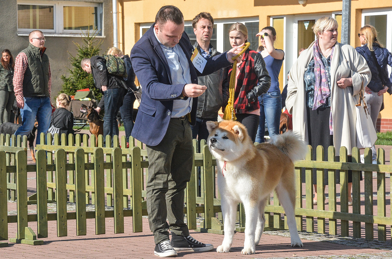 TAIKO GO Sara Hana Kensha