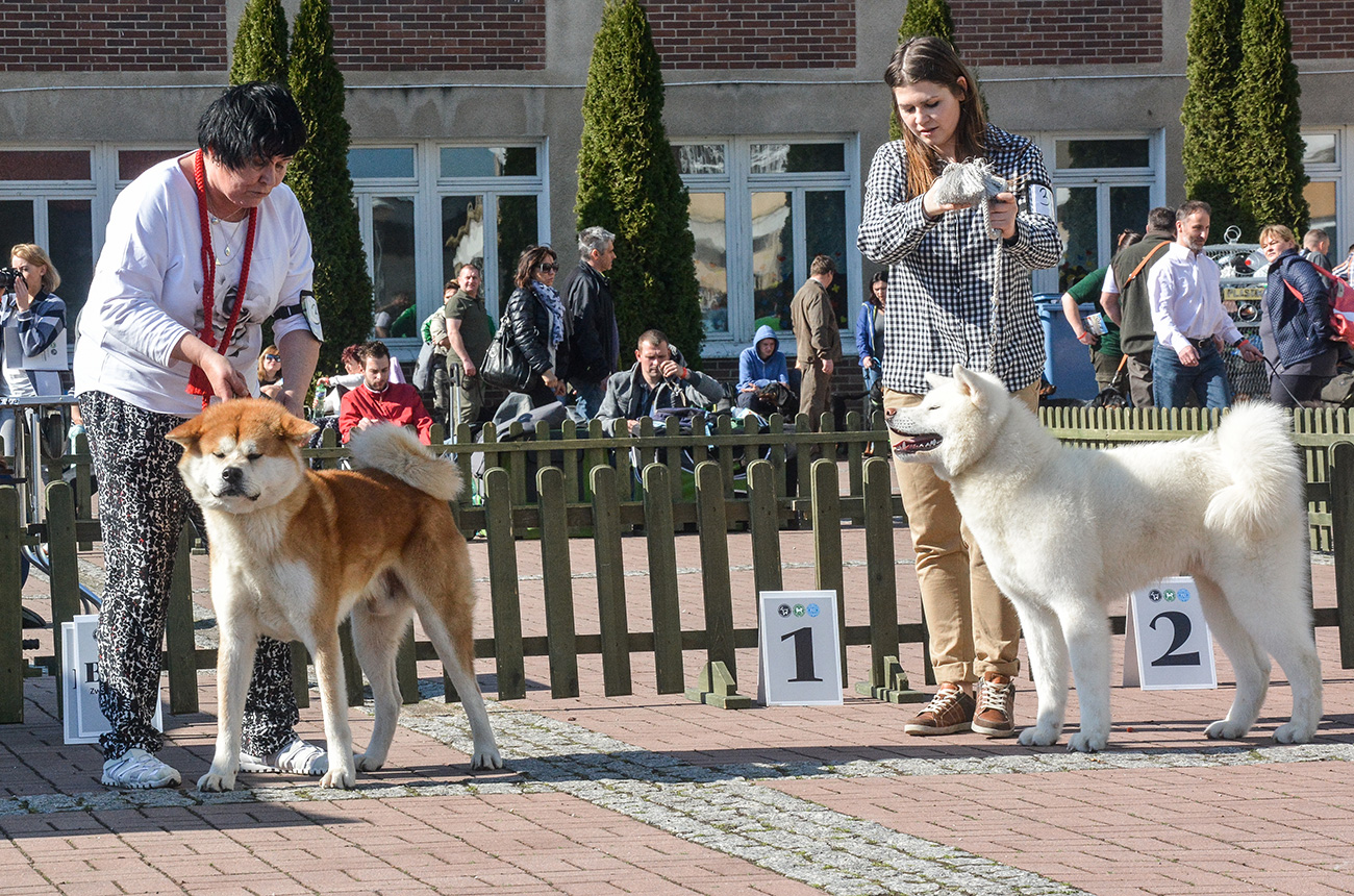 YUZUKI Kkum Yeoul & YUKITERU Halne Wzgórze