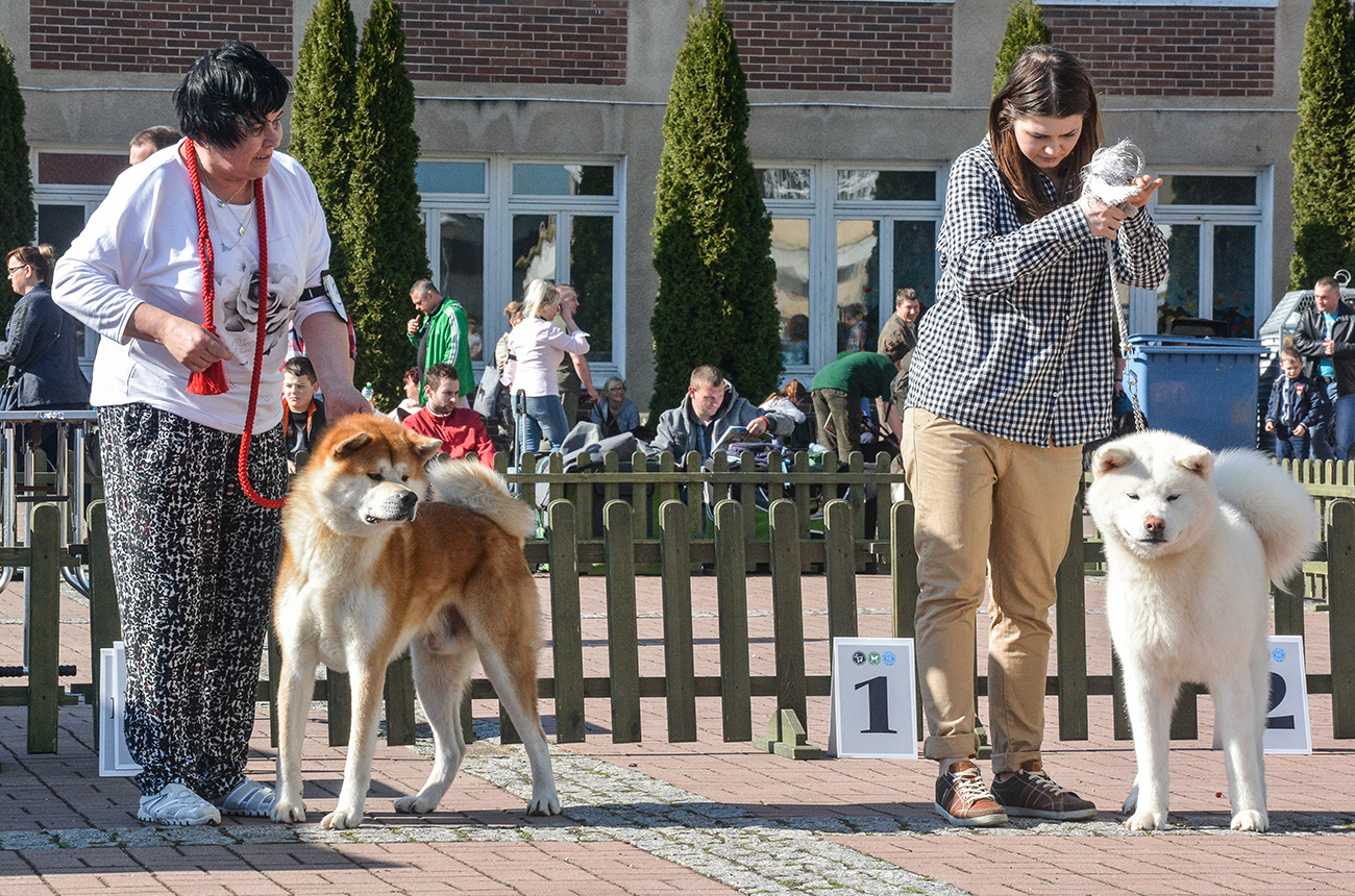 62 KWPR Świebodzice