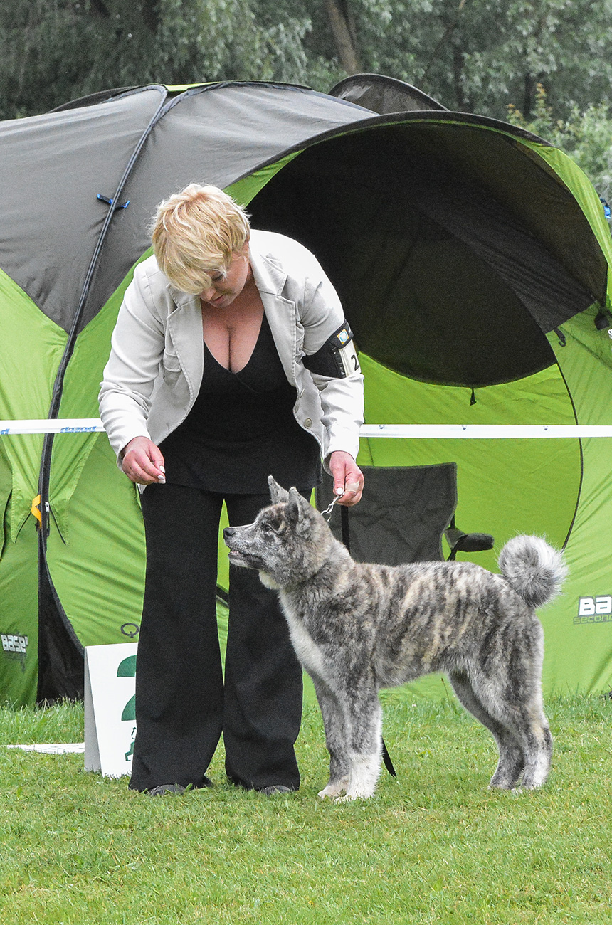 Yakuza Mori No Kodomo