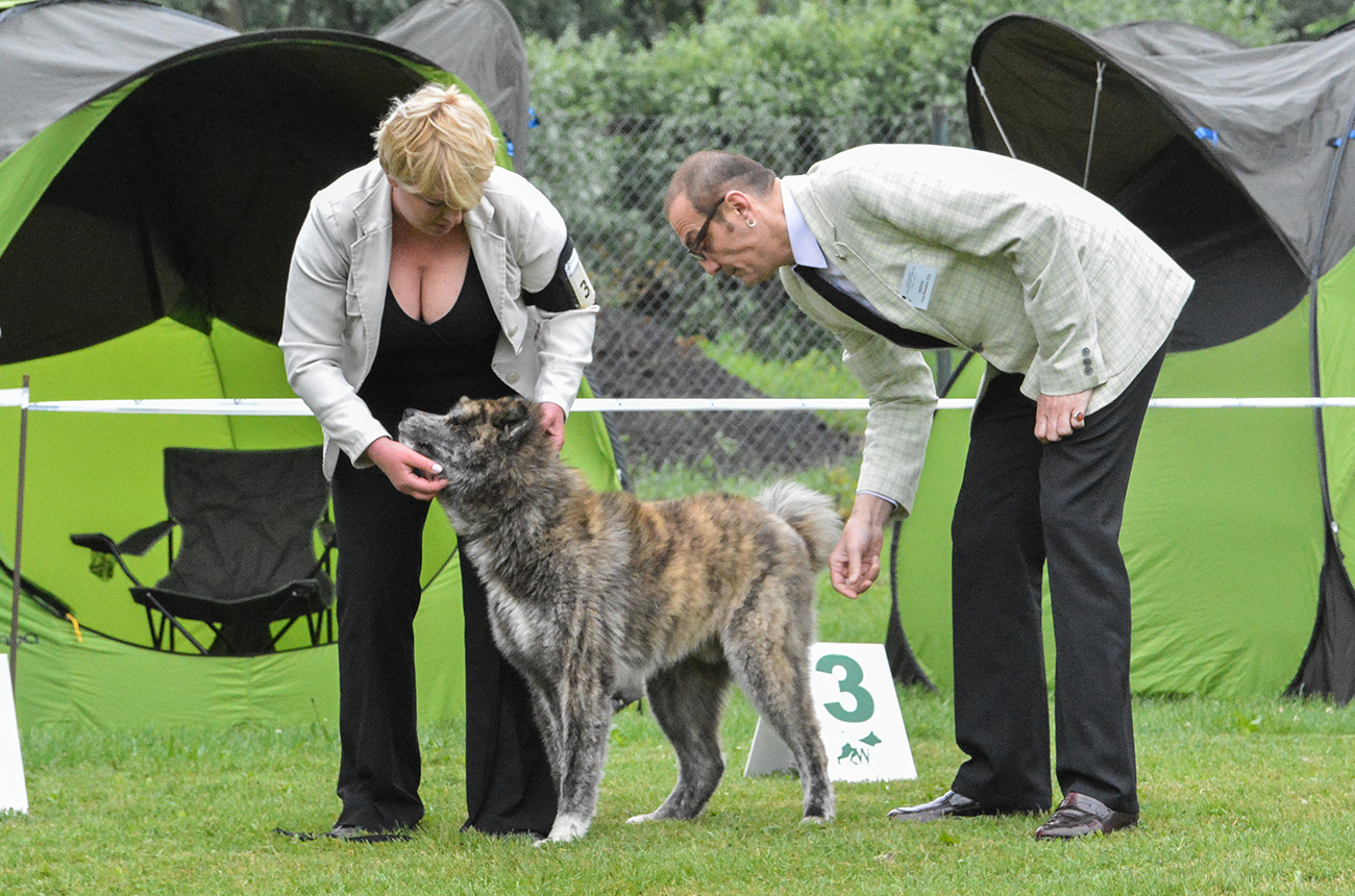 Akihide Mori No Kodomo