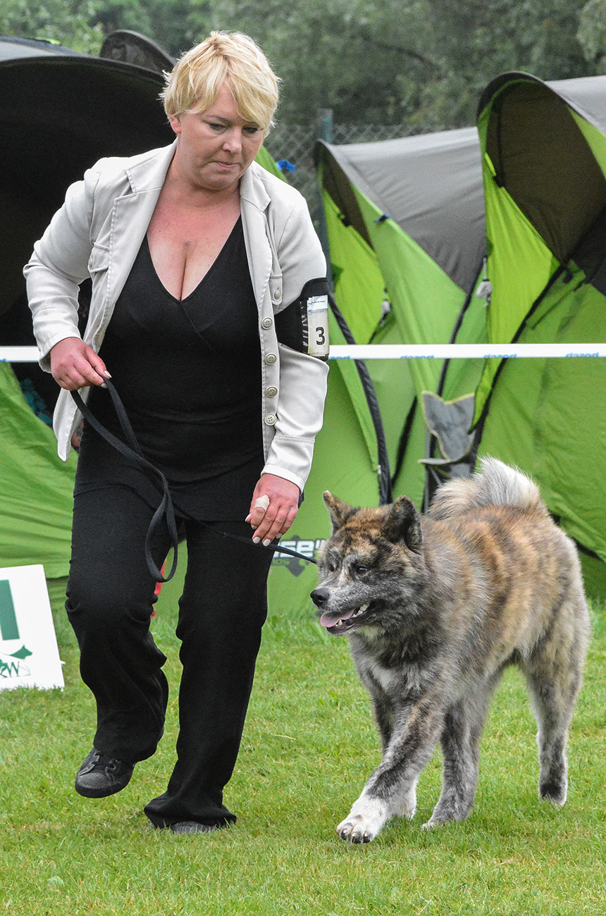 Akihide Mori No Kodomo