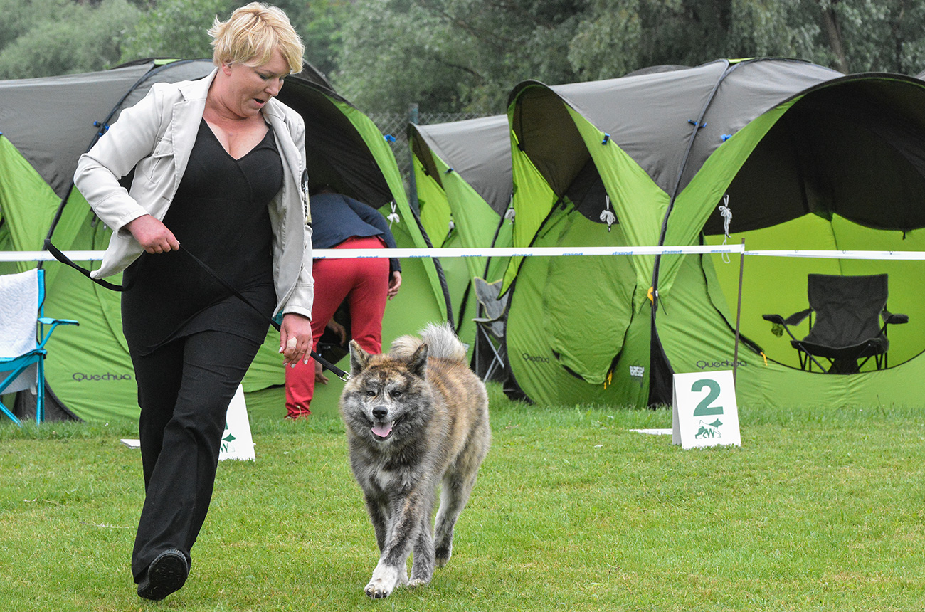 Akihide Mori No Kodomo