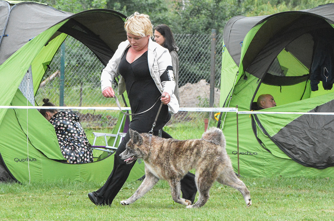 AYAKA Mori No Kodomo