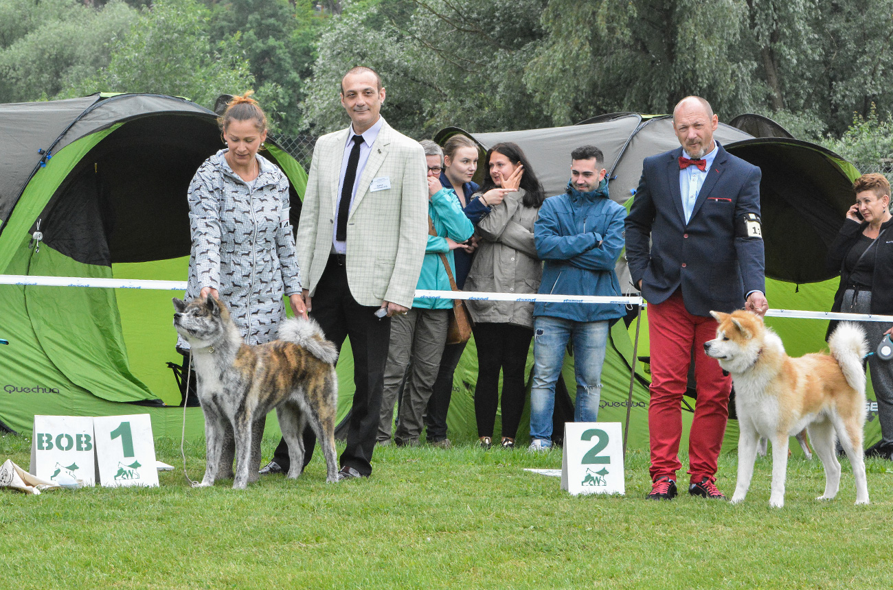 KEIKO Mori No Kodomo & Lisu vel Daichi Migoto Inu